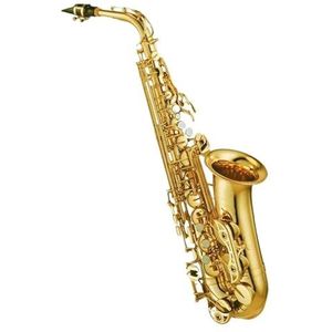 saxofoon kit Houtblaasinstrumenten Professionele Altsaxofoon Goudlak Met Mondstuk Rieten Halskoffer