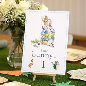 Peter Rabbit Teken van de Verjaardag of ander Konijntje is 1 A4-kaart en Schildersezel