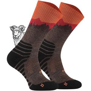 TODO BP Merino Wandelsokken voor heren, dames en kinderen, trekkingsokken van merinowol, ademend, anti-blaren, geproduceerd in de EU, 35-38 EU