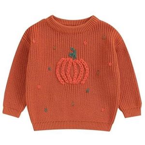 AJMDGW Baby Girls Jongens Halloween Pompoen Sweaters Lange Mouwen Crew Neck Winter Warm Knitwear Pullover Jumpers Top (Z-Pompoen Oranje, 2-3 jaar)