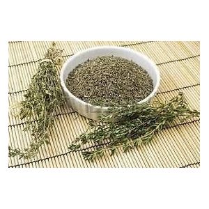Timo Herb Seed, biologica, non OGM, 500+ semi, erbe, spezie, semi, Herb