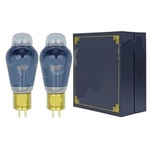300B-T 300BT buis vervangt 300B 300BN 300BZ 300BG WE300B HIFI audio buis versterker DIY (2 stuks Matched Pair)