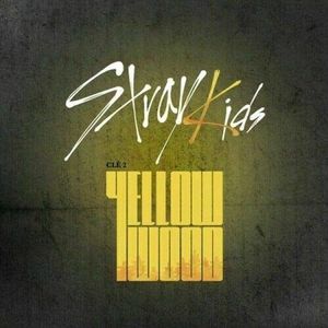 STRAY KIDS - [Cle 2Yellow Wood Special Album Normal Yellow Wood Ver CD +PhotoBook 3p QR PhotoCard Pre-Order Item+Tracking K-POP Sealed