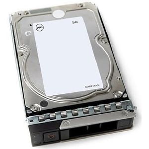 Dell 8 TB HDD SAS ISE 12 Gbps 7,2 K 512e 3,5 inch H