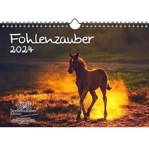 Veulen tover DIN A4 kalender voor 2024 paarden en veulen - gemoedsrust