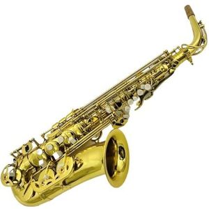 saxofoon kit Altsaxofoon Eb Messing Muziekinstrument E-vlakke Sax Met Goudlakoppervlak En Canvas PU-leren Tas (Color : Brown red)