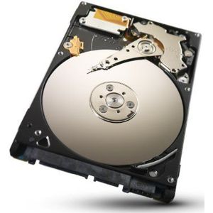Seagate Momentus ST320LT012 Interne harde schijf 320 GB (6,4 cm (2,5 inch), 5400 rpm, 16 MB cache, SATA)