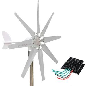 220v,HYZHANHONG Draagbare kleine windmolen windturbine generator kit, 600W-1000W 12V 24V 48V met MPPT-controller windturbine generator voor tuinverlichting (wit, 8 bladen)
