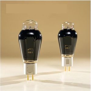 Tube 300B-Z 300BZ Vacuümbuis-upgrade 300B-buis, doe-het-zelf versterkerkit, hifi-audiorbuis-parameteraanpassing (2 stuks)
