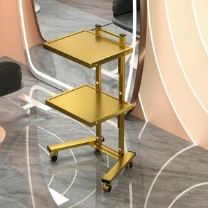 Salonwagen, 2-laags mobiele opbergwagen, roestvrijstalen salonopbergstandaard met wielen, metalen rollend haarstylingstation voor spa's, kapperszaken en tatoeages(Gold)