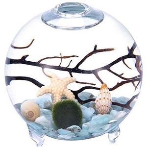 Footed Aquarium kit Globe Aquatic Kit Orb Terrarium Glazen Vaas met Voeten, Levende Mosballen Kiezels Zeeschelp en Zwart Ventilator Koraal Gebruikt voor Tafeldecoratie Cadeau voor Vrienden (2,4 ""x 2,55 "", Stijl I)