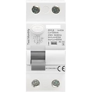 Gyl9 ac-s Tap Time Delay RCD RCCB ELCB Automatische zekering Schakelaar Elektromagnetische Automatische Schakelaar (Kleur: 100ma, Maat: AC-S 2P 40A)