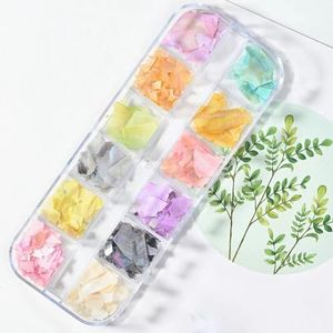 12Grids Nail Art Schelpvlokken Abalone Slice Natuurlijke Zeeschelp Steen Fragment Textuur Manicure Charms Nagel Paillette Decoratie #-PH036