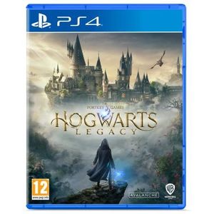 WB - Hogwarts Legacy - PC Game