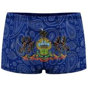 Paisley Pennsylvania State Flag Heren Boxer Slip Sexy Shorts Mesh Boxers Ondergoed Ademend Onderbroek Thong