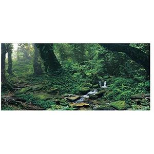 Aquarium achtergrond aquarium achtergrond sticker grot