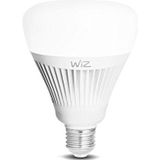 Slimme LED-lamp van WiZ; zuigervorm G100 (E27), wit, wifi-schakelbaar. Dimbaar, 64.000 wittinten. Combineerbaar met Amazon Alexa en Google Home.
