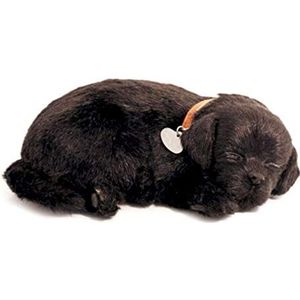 Plenty Gifts - Perfect Petzzz | Zwarte Labrador Realistische Puppy Knuffel | Met Transportmand en Bedje | Inclusief Batterijen