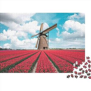 Casse-tête Casse-tête voor volwassenen (jeux windmolens amusants) Casse-tête Personnalisés Jeux Stimulants voor La Famille Cadeaux D'anniversaire De Noël 300 stuks (40 x 28 cm)