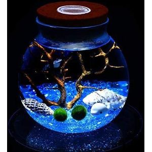 LED Terrarium nachtlampje LED Aquarium Marimo Kit - Globe glazen pot met 2 watermosbal blauw glas kiezelstenen ventilator koraal tak en zeeschelpen kantoor unieke verjaardagscadeaus (blauw)