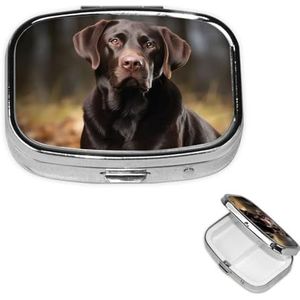 Labrador Retriever Vierkante Metalen Pillendoos 2 Compartiment Leuke Reizen Pil Organizer Case Draagbare Geneeskunde Vitamine Organizer Pil Case voor Vrouwen Mannen Reizen Uniek Cadeau