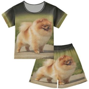 YOUJUNER Kinderpyjama set schattige Pommerse hond korte mouw T-shirt zomer nachtkleding pyjama lounge wear nachtkleding voor jongens meisjes kinderen, Meerkleurig, 12 jaar