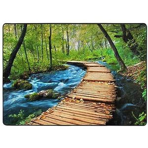 LAMAME Houten Bridge Stream Water Gedrukt Wasbaar Indoor Floor Mat Pluizige Zachte Gebied Tapijt