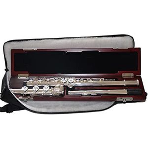 Zengxue fluit volwassenen Fluit Sterling Zilveren Lichaam 17-gat Openen B Staart Gesneden Sleutel Muziekinstrument