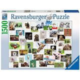 Funny Animals Puzzel (1500 stukjes) - Een uitdagende puzzel voor puzzelliefhebbers