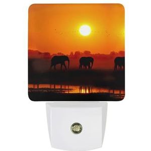 Afrikaanse Olifanten Bij Zonsondergang Warm Wit Nachtlampje Plug In Muur Schemering naar Dawn Sensor Lichten Binnenshuis Trappen Hal