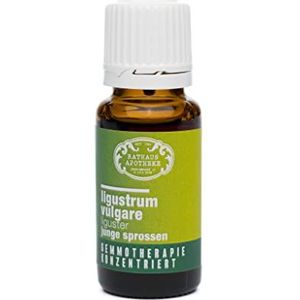 RATHAUS APOTHEKE WIEN geconcentreerd knopextract - Gemmotherapie - Ligustrum vulgare - De Liguster - 15 ml