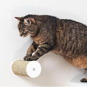 LucyBalu® Kattenkrabpaal & klimniveau voor aan de muur, kattentrap van sisal, voor katten, klimwand, kattentrede, sisal krabpaal voor wandmontage, kattenladder, wit/zand