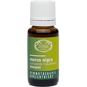 RATHAUS APOTHEKE WIEN geconcentreerd knopextract - Gemmotherapie - Morus nigra - De zwarte moerbei - 15 ml
