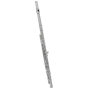 fluit instrument Fluit 16-holes C-key Fluitinstrument Voor Beginners Om Algemeen Examen Voor Studenten Te Spelen flute instrument