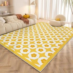 Woonkamer volledig voorzien van vloerbedekking slaapkamer bank salontafel mat huishoudelijke antislip gemakkelijk te onderhouden voetmatten D,200 * 300cm
