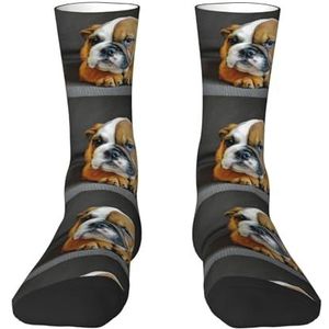 Knielende Engelse Bulldog, compressiesokken, crew-sokken, casual sokken voor volwassenen, sportsokken