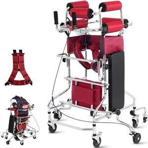 Hulpmiddelen voor het onderzoek， Rollator for senioren, revalidatie van hemiplegie, sta-frame, loophulpmiddel for gehandicapten(Men's)