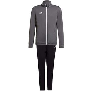 adidas Trainingspak voor kinderen van polyester Entrada 22 Track Suit, Team Grey Four, 164