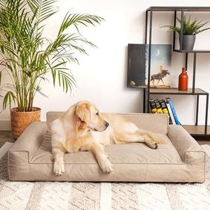 PillowPrim Hondenbed, huisdierenmatras, kattenbed, hondenkussen, hondenmand, hondenbank, ligplaats voor hond, orthopedisch, as, 55 cm, beige, 98 x 66 cm