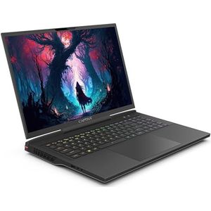 Captiva - Ultimate Gaming I81-601 - Notebook - Zwart - Intel Core i9 - RTX 4090