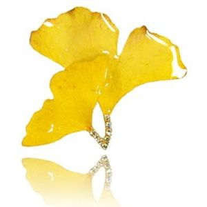 Real Flower Earrings Handmade Ginkgo Earrings Lightweight Earrings 3D Resin Dried Flowers Earrings for Women Original Design (Brooch)