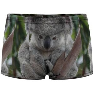 Koala Bear Boxershorts voor heren, sexy shorts, mesh boxers, ondergoed, ademende onderbroek, string