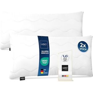 BedStory Hoofdkussen, 80 x 80 cm, set van 2 kussens, 80 x 80 cm, met ritssluiting, 2 x 1500 g, microvezel, hoofdkussen, in hoogte verstelbaar
