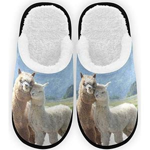 Heren Dames Slippers Harige Alpaca Pluche Voering Comfort Warm Koraal Fleece Vrouwen Huis Slippers voor Indoor Outdoor Spa