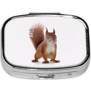 Stijlvolle vierkante pillenetui schattige eekhoorn metalen pillendoos 2 compartimenten medicijnpillenhouder draagbare pillenorganizer doseerdoos, kleine pillendoos voor op reis voor portemonnee en zak