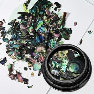 12 Grids/Box Onregelmatige Abalone Schelp Nail Art Vlokken Aurora Natuurlijke Zeeschelp Textuur Dunne Plak Charms DIY Manicure Beauty Tools-PD-0169-9