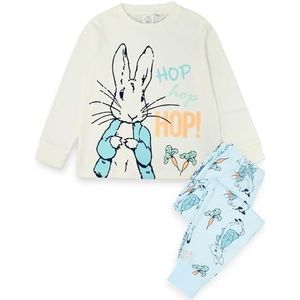 Peter Rabbit pyjama set voor jongens | Blauwe loungewear T-shirt met lange mouwen en all-over print broek met lange pijpen Complete pyjama | Leuke nachtkleding merchandise