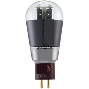 ART 300B buis vervangt WE300B 300BN 300BT 4300B 7300B 300B (1ST)