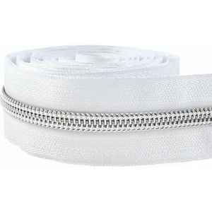 1/2/3/5/10M 5# Nylon Ritsen Tapes DIY Spoelrits per meter Zakken Portemonnee Decoratieve Ritsen Reparatie Naaien Accessoires-ZA419-169-Silver-No5-1Meter