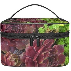 Vetplanten make-up organizer tas, reismake-up tas organizer case draagbare cosmetische tas voor vrouwen en meisjes toiletartikelen, Meerkleurig, 22.5x15x13.8cm/8.9x5.9x5.4in